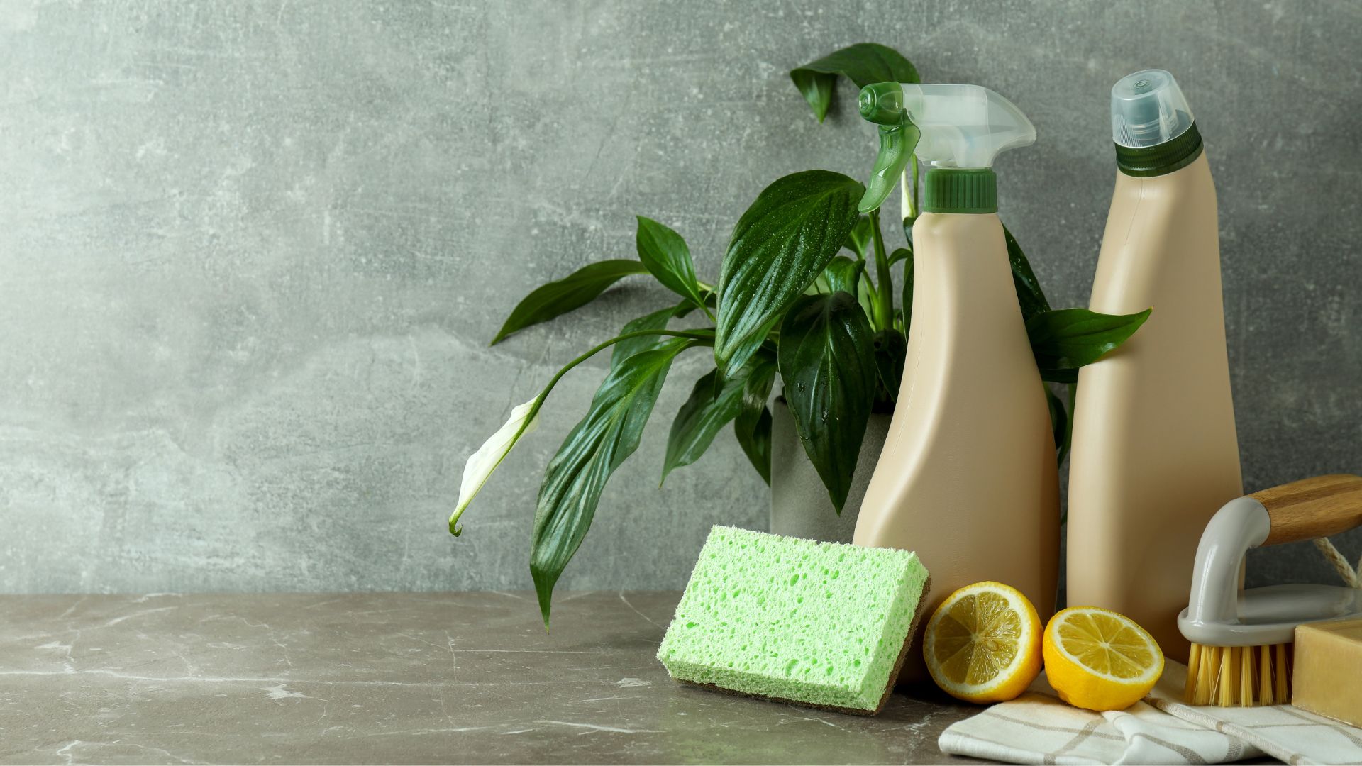 Eco-friendly cleaning products with beige bottles, a green sponge, lemons, and a scrub brush arranged on a countertop with a plant in the background.
